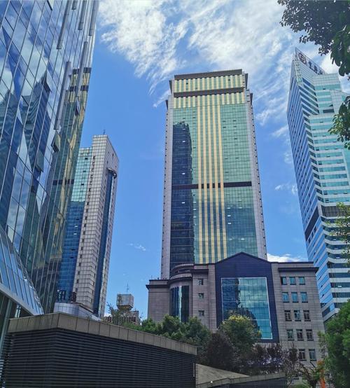 企业管理服务;企业形象策划;会计,审计及税务服务;社会经济咨询;知识