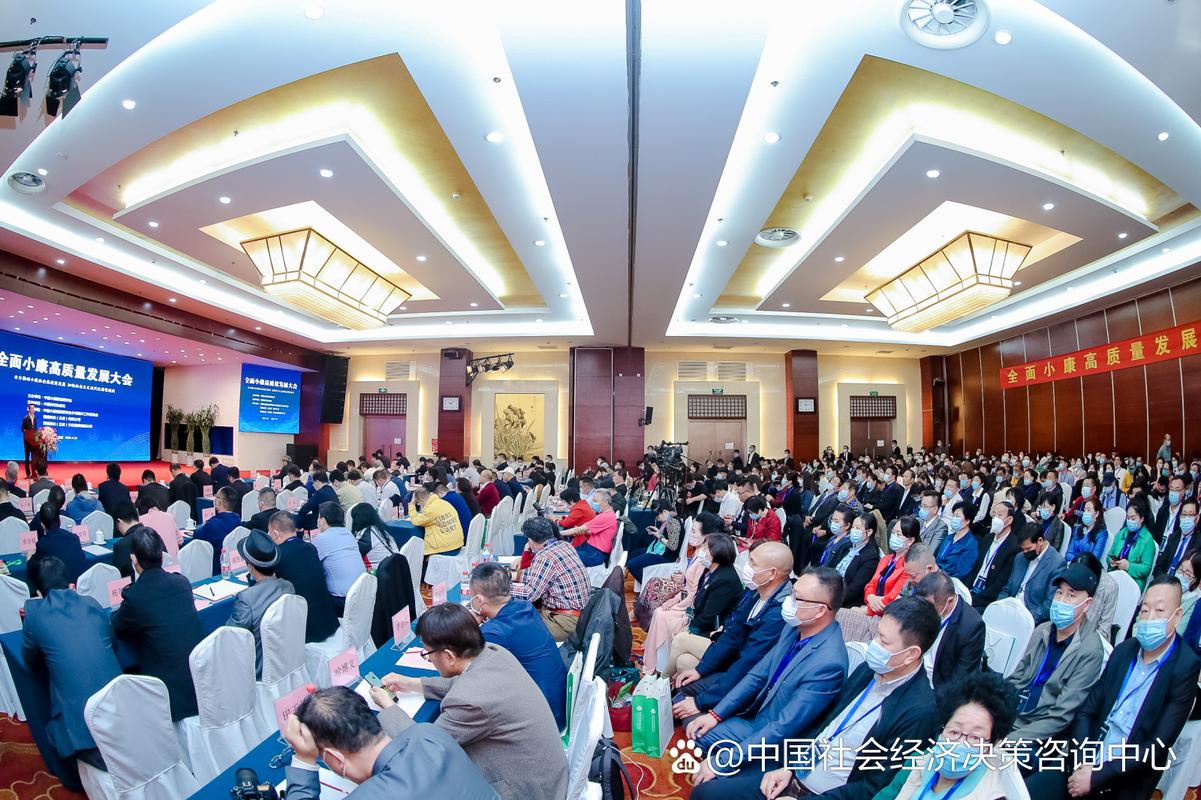 中国社会经济决策咨询中心发布